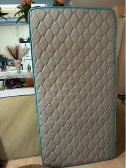 Linenspa twin mattress