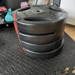 Weight Plates 