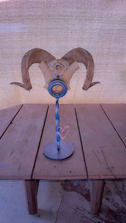 Ram Skull Cap Horns on Metal Stand