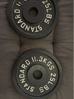 Standard 25 lb Cast Iron Weight Plates Pair