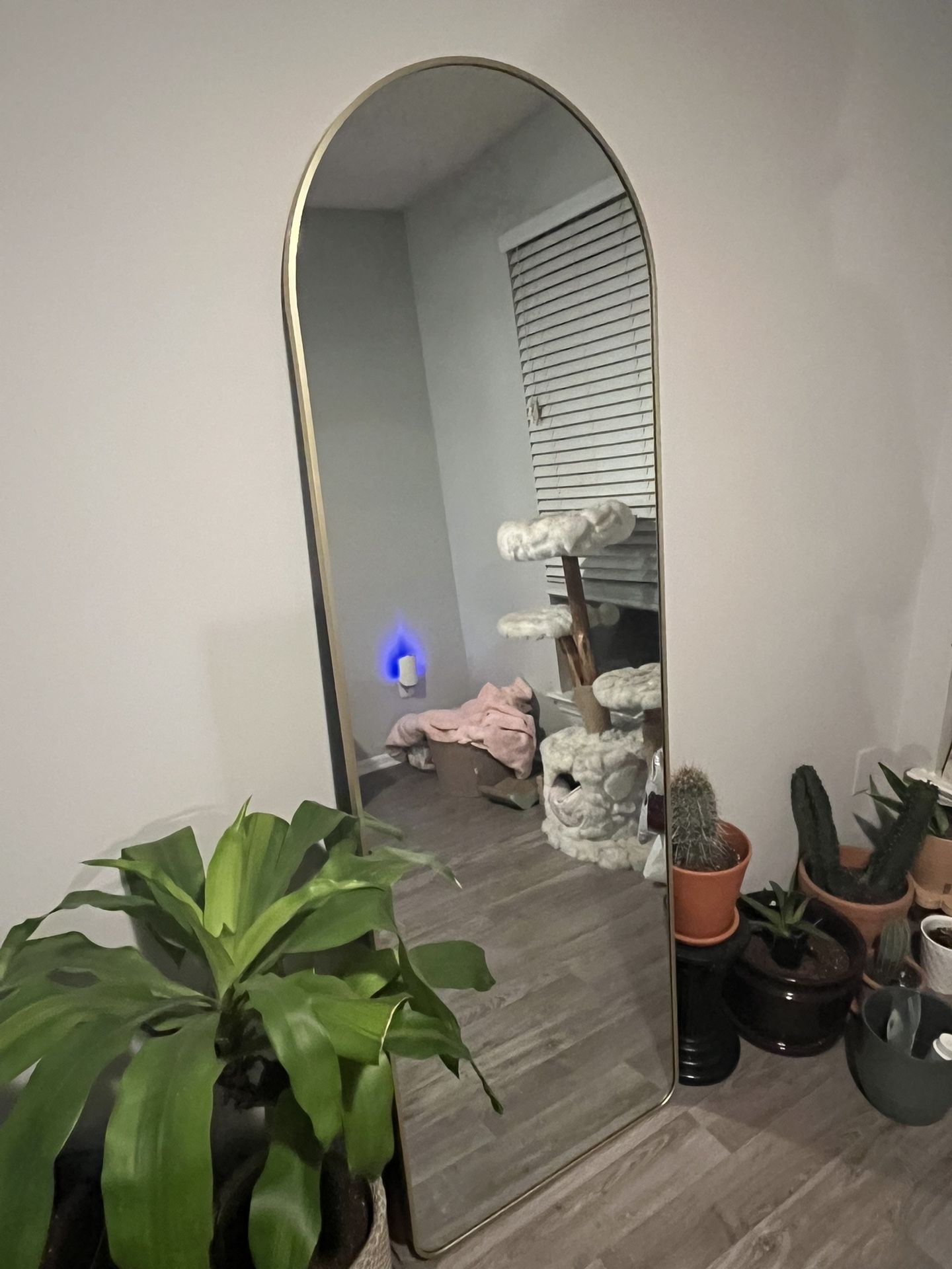 Floor Mirror