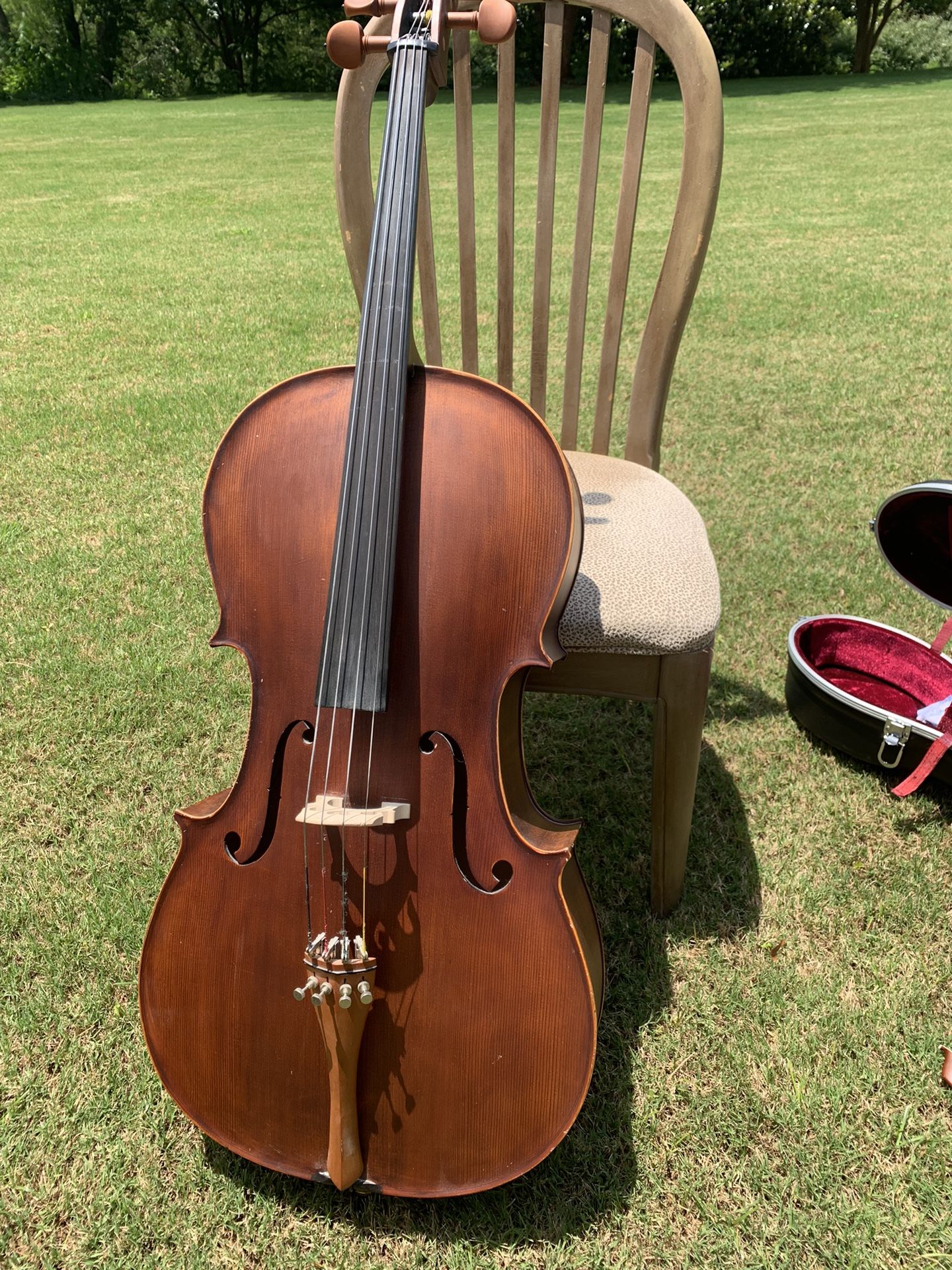 Handmade Cello & Stagg Cello case