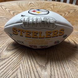 Steelers Football  Established Date: 1933