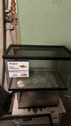 10 gallon w/ mesh lid