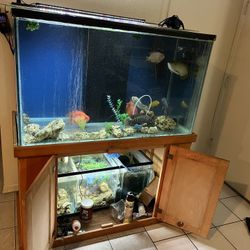 Fish Tank ( Without The Fish)
