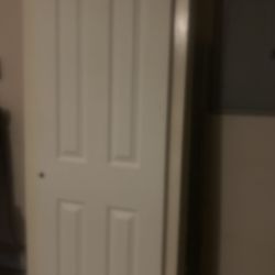 Closet Doors  Or Kitchen Doors For Pantry