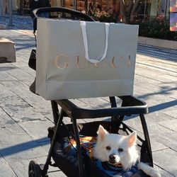 Dog Stroller With Cup Holders