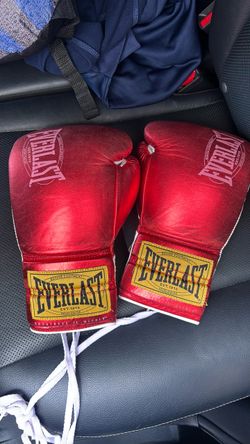 Everlast, 10 ounce fight gloves
