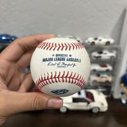25 Year Anniversary Tampa Bay Baseball