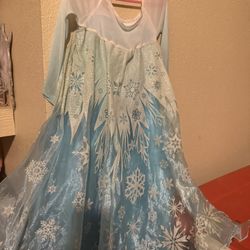 Frozen Dress/boots 