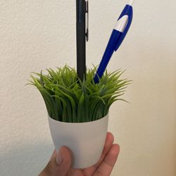 Pen Holder Plant