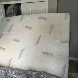 Mattress King Members Mark