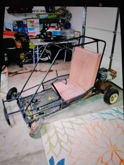 Gas-Powered Go-Kart with Roll Cage