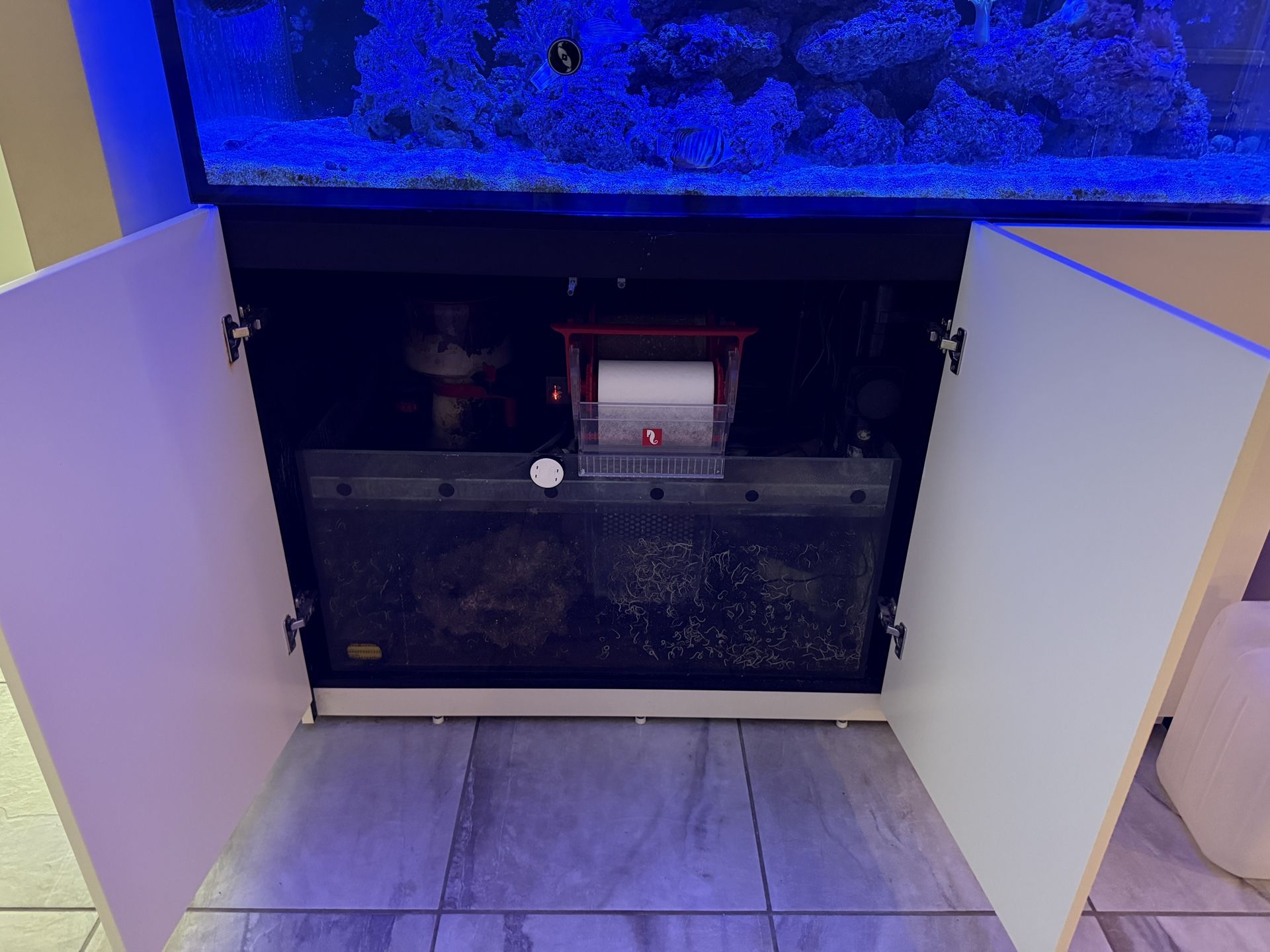 Red Sea Reef Tank