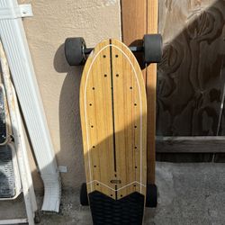 Eletric Skateboard 