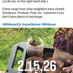 Wildomar Plant Exchange