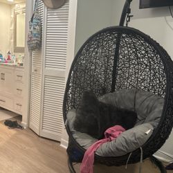 Hanging Swing Egg Chair