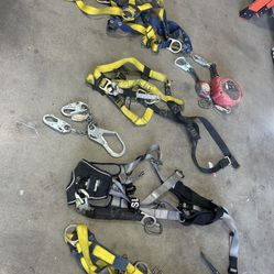 Harnesses 