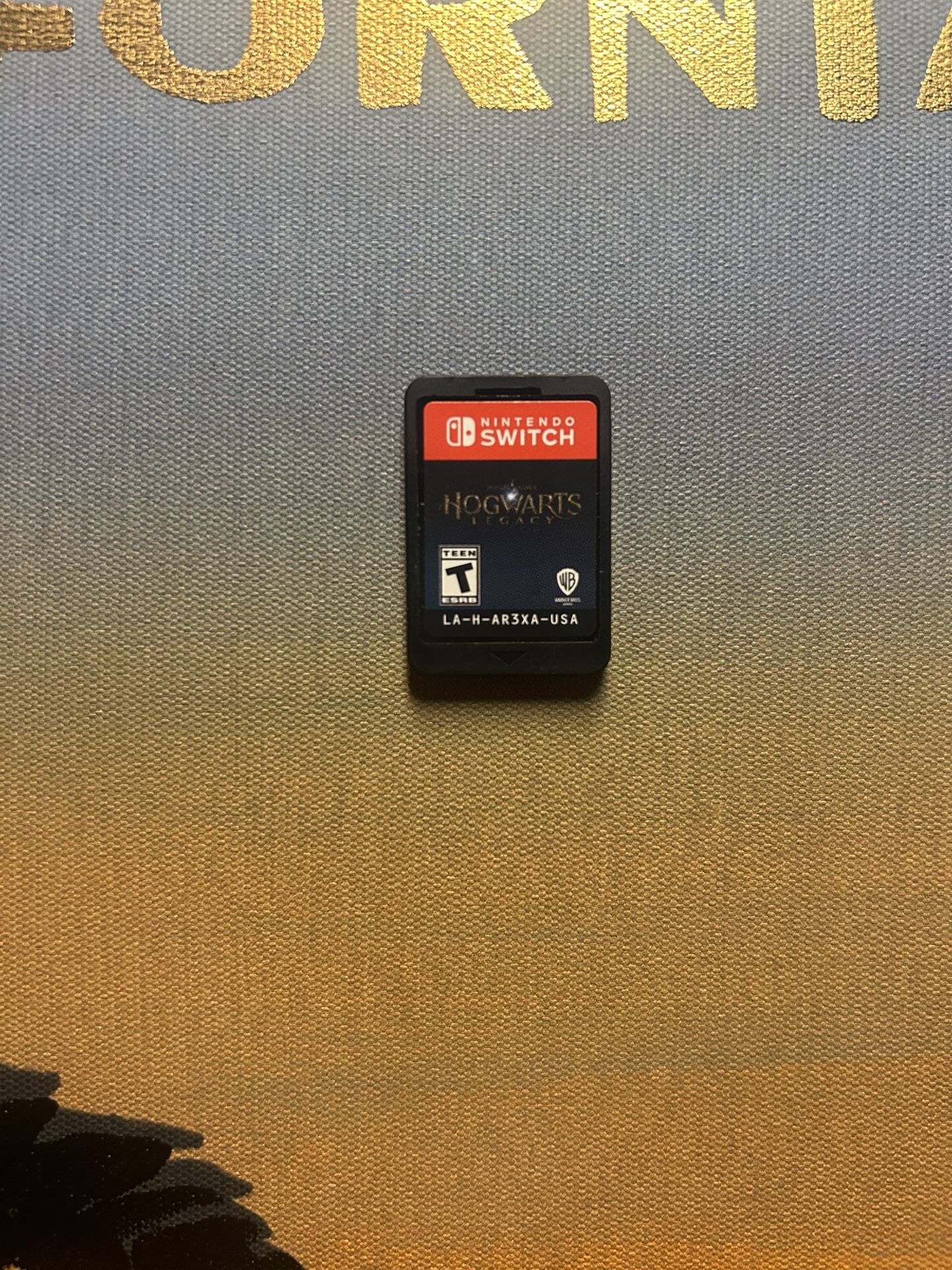 Hogwarts Legacy Switch Game