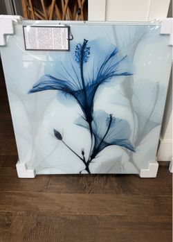 AlbertKoetsier Radiographic  wall art