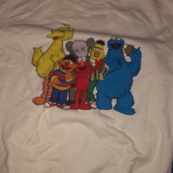 kaws sesame st