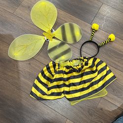 Bumble Bee Costume