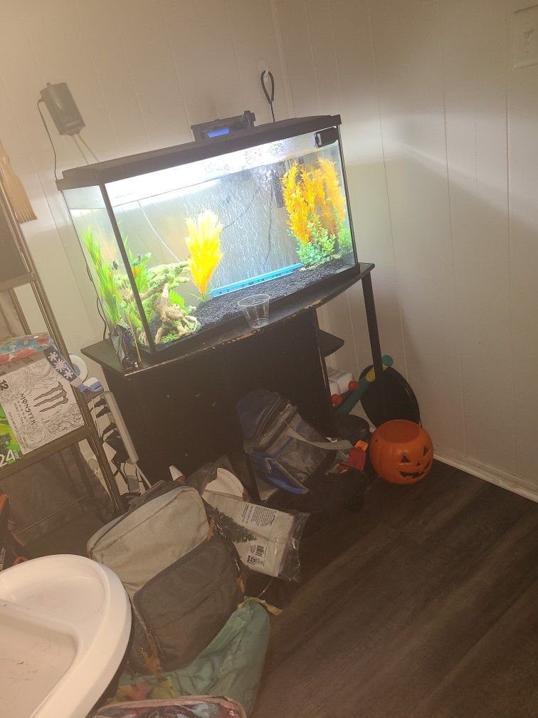 Fish Tank And Stand