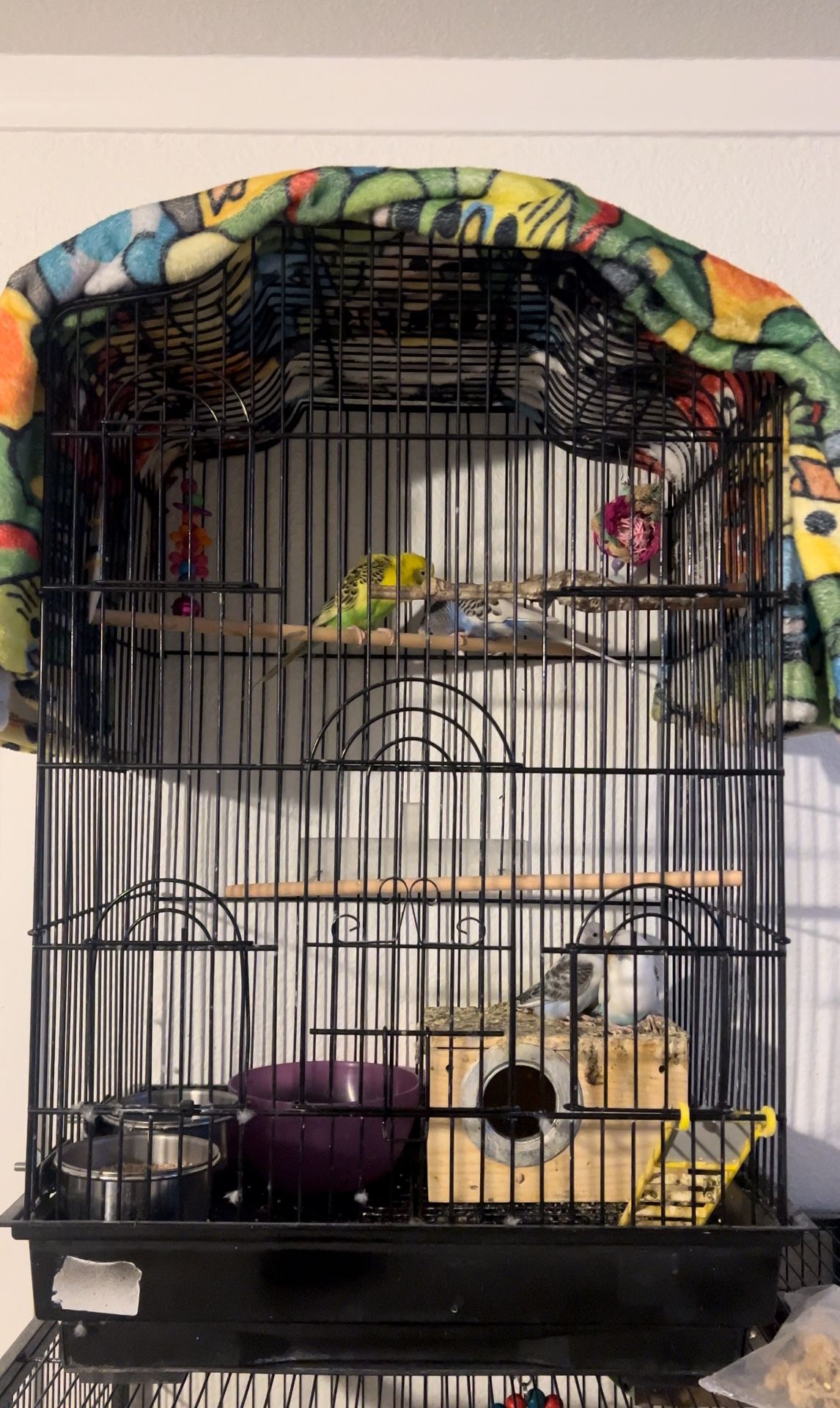 Bird Cage For  Tame  Budgies