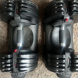 ativafit dialtech elite 71.5 lb adjustable dumbbells 