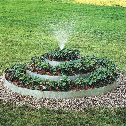 Strawberry Tower With Sprinkler