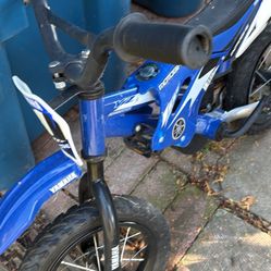 Mini Kids Bike