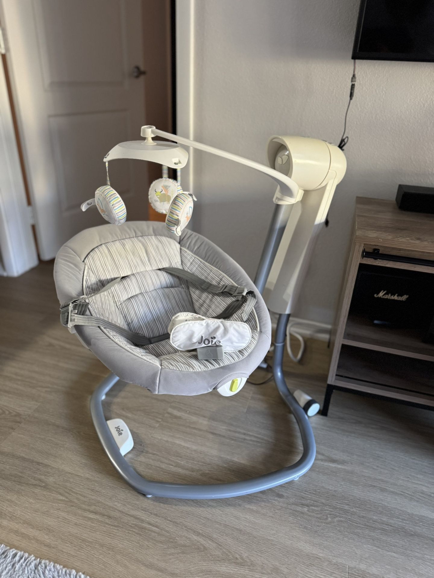 Baby Swing