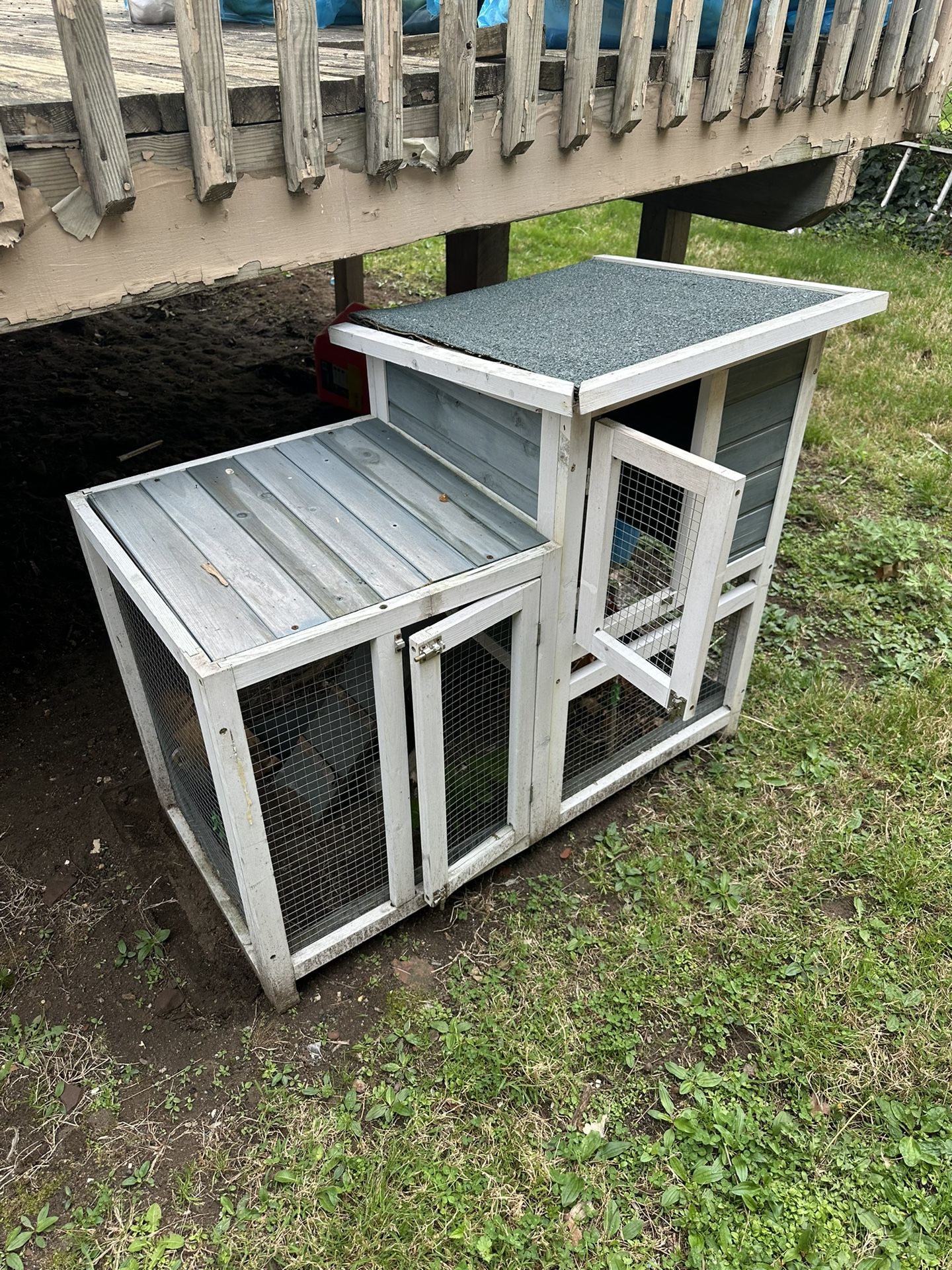 Bunny Cage 