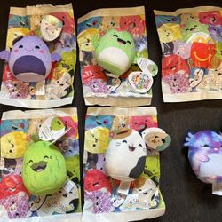 Squishmallow Mini Toys