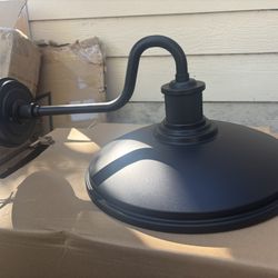 Michele Allen Bury Light