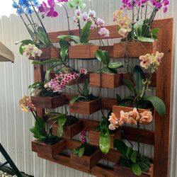 Orquidiario, Planter, Orchid planter, Cactus planter. Flower planter. Outdoor decoration.