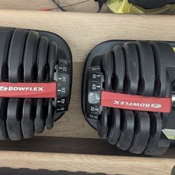 Bowflex 552 Dumbbells