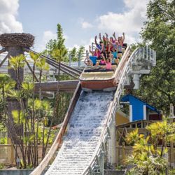 Single Day Tickets To Lowry Park Zoo