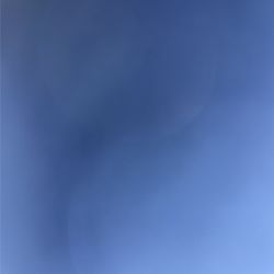 Vendo  Gallinas Ponedoras.