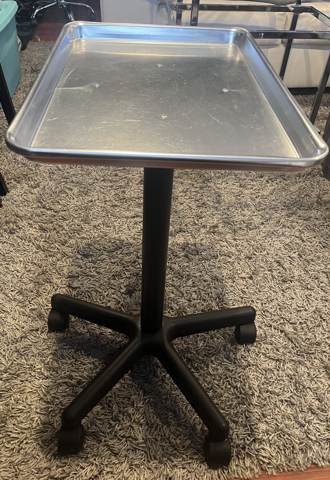 Rolling Salon Tray