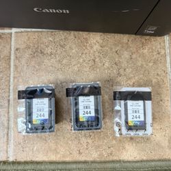 Canon CL-244 Printer Ink