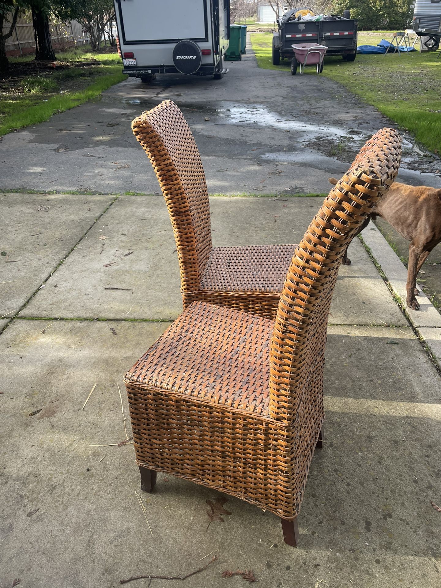 Set Of 6 Wicker Chairs