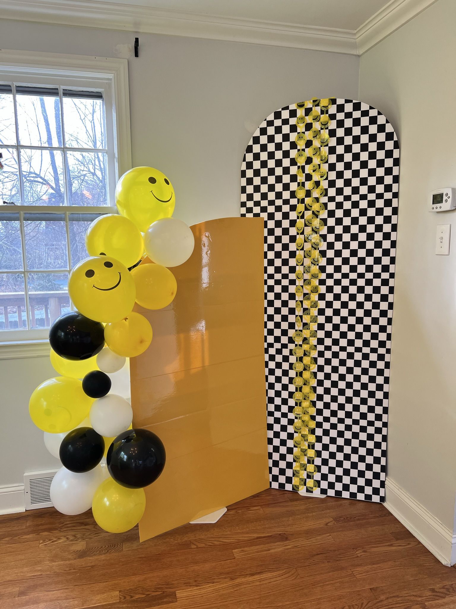 Party backdrop