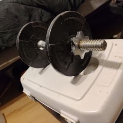 Weight Weights Dumbbell 