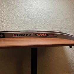 Recurve ILF Limbs