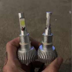 Headlight Bulb