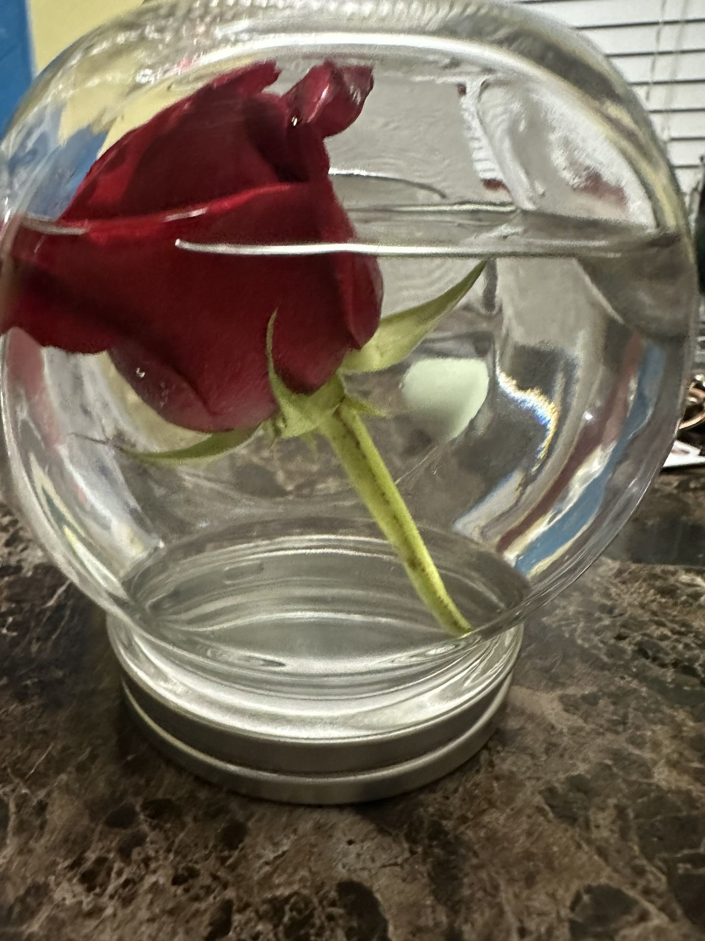 Valentines Day Gifts