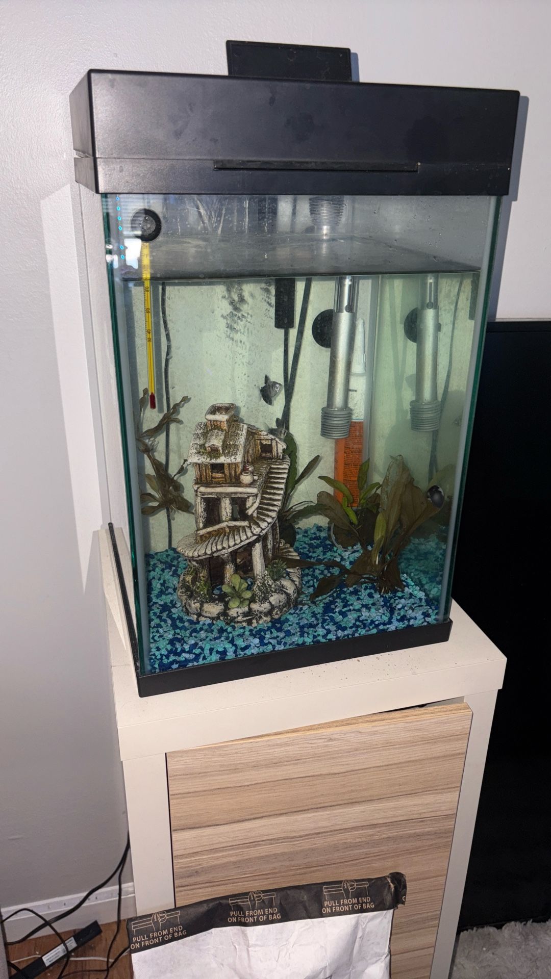 10 Gallon Aquarium