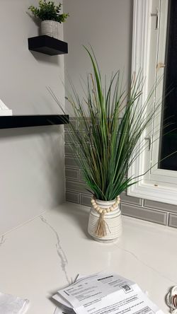 Decorate ( Must pickup. Cash only)