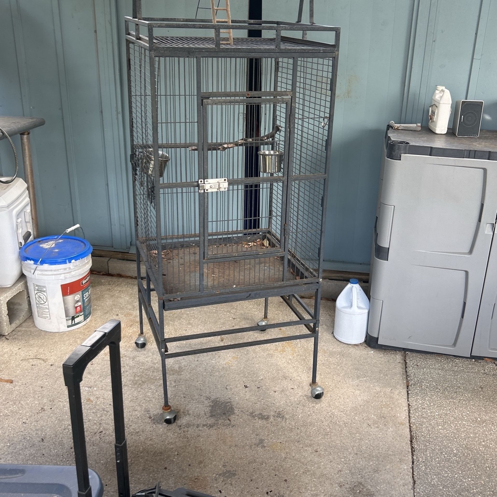 Bird Cage